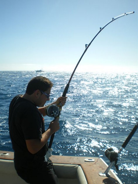 Hooked Up Cavalier & Blue Marlin Sport Fishing Gran Canaria