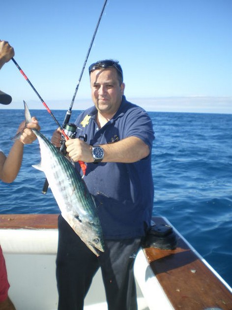 Atlantic Bonito Cavalier & Blue Marlin Sport Fishing Gran Canaria