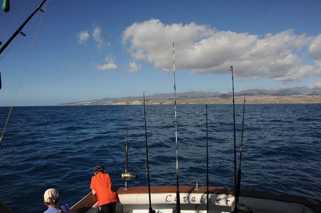 BARACUDA`S<br><br>Vandaag, zaterdag 16 januari werd het voor - Cavalier & Blue Marlin Sport Fishing Gran Canaria
