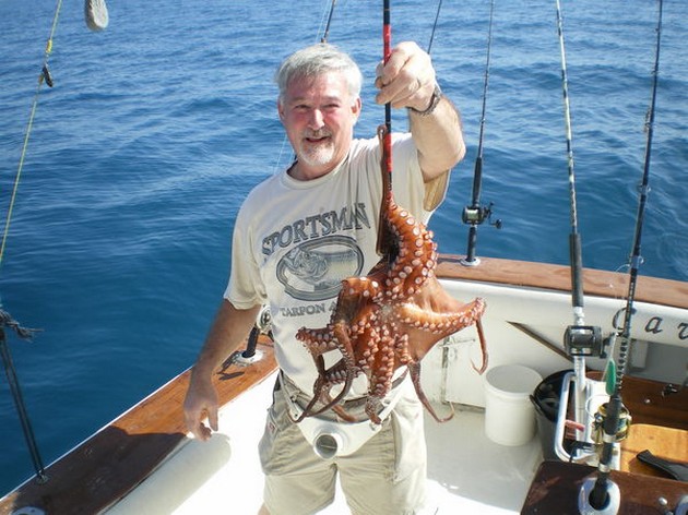 Octopus Cavalier & Blue Marlin Sport Fishing Gran Canaria
