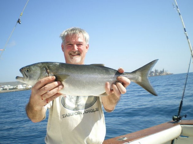 King Fish Cavalier & Blue Marlin Sport Fishing Gran Canaria