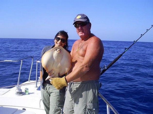 Common Stingray Cavalier & Blue Marlin Sport Fishing Gran Canaria