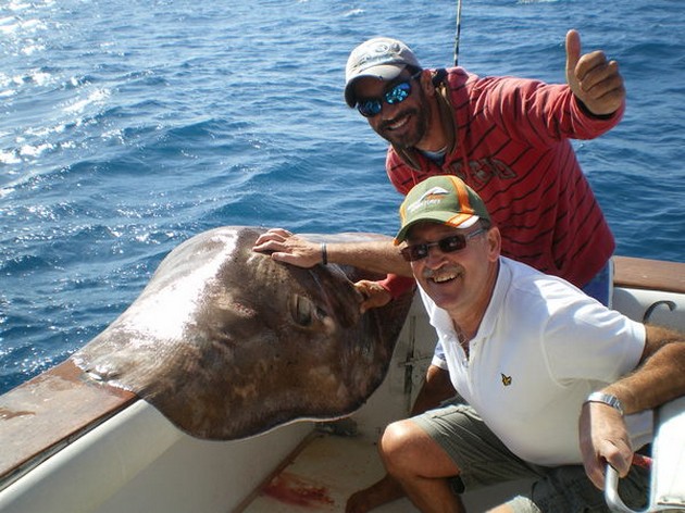 Common Stingray Cavalier & Blue Marlin Sport Fishing Gran Canaria