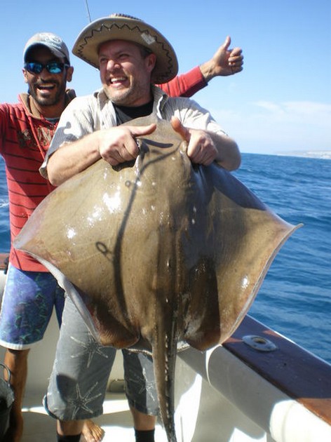 Common Stingray Cavalier & Blue Marlin Sport Fishing Gran Canaria