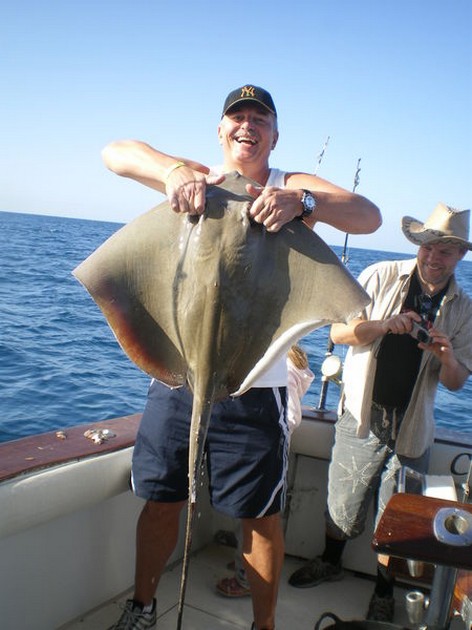 Common Stingray Cavalier & Blue Marlin Sport Fishing Gran Canaria