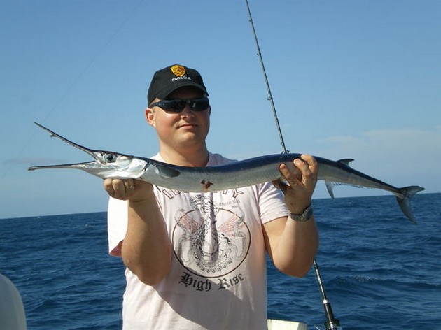 Garfish Cavalier & Blue Marlin Sport Fishing Gran Canaria