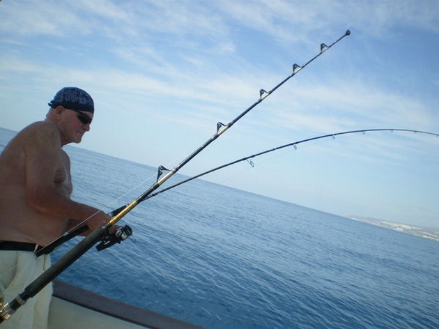 ENGELHAAI<br><br>De Cavalier was vanmorgen gechartert door - Cavalier & Blue Marlin Sport Fishing Gran Canaria