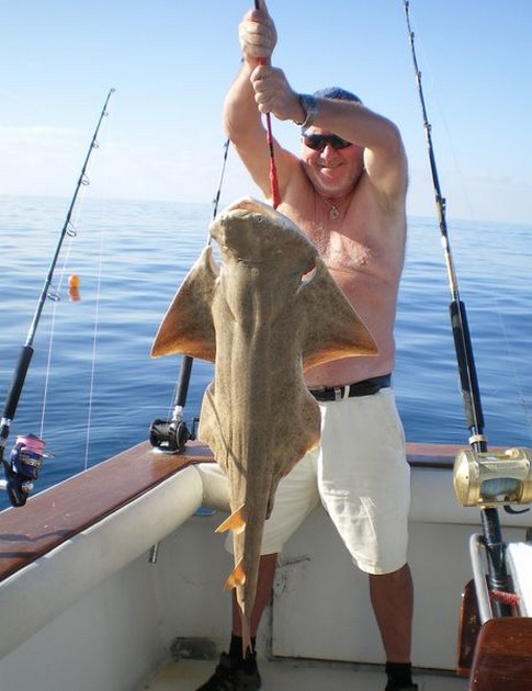 Angel Shark Cavalier & Blue Marlin Sport Fishing Gran Canaria