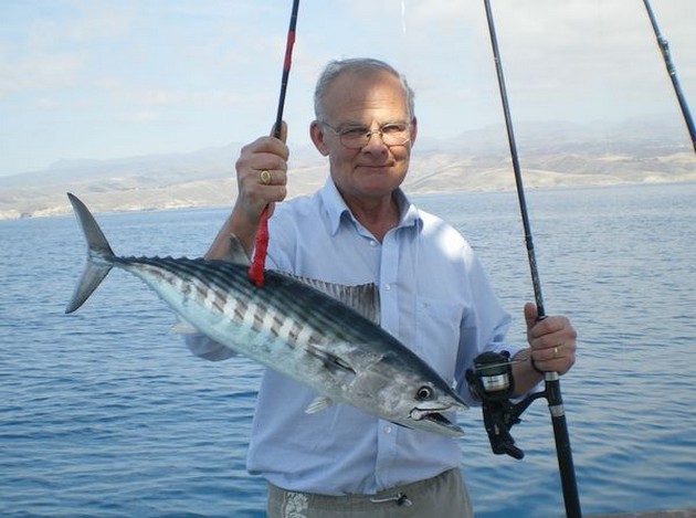 Atlantic Bonito Cavalier & Blue Marlin Sport Fishing Gran Canaria