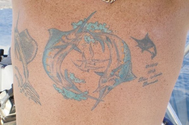  - Cavalier & Blue Marlin Sport Fishing Gran Canaria