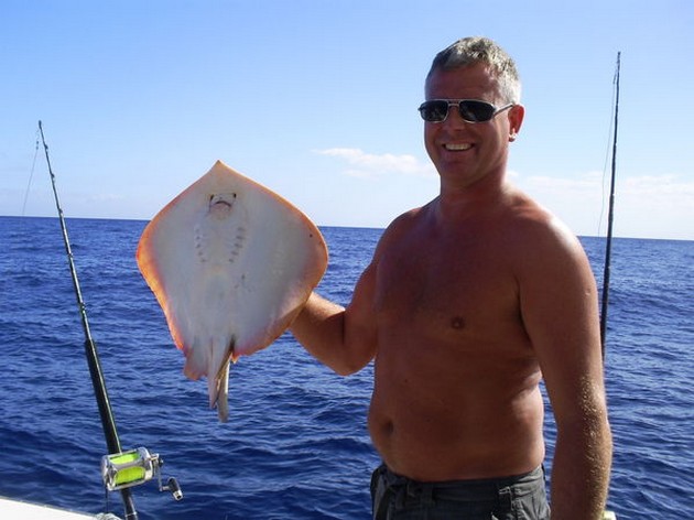 Common Stingray Cavalier & Blue Marlin Sport Fishing Gran Canaria