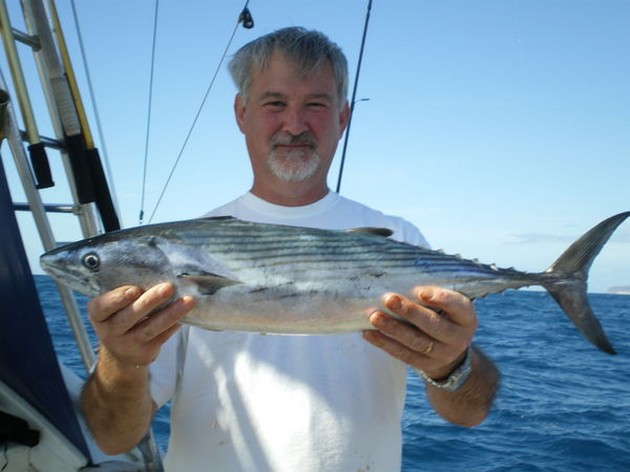Atlantic Bonito Cavalier & Blue Marlin Sport Fishing Gran Canaria