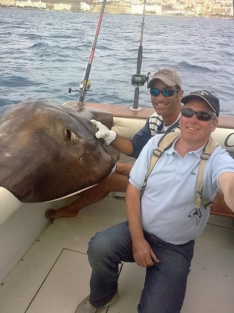 Common Stingray Cavalier & Blue Marlin Sport Fishing Gran Canaria