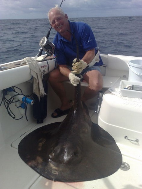 28/01 Round Stingray Cavalier & Blue Marlin Sport Fishing Gran Canaria