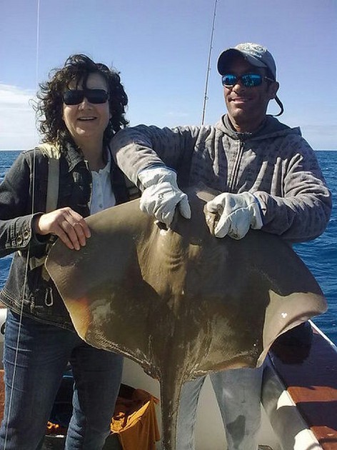 Common Stingray Cavalier & Blue Marlin Sport Fishing Gran Canaria