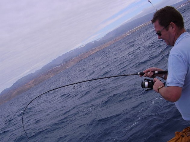 ATLANTIC BONITO`S<br><br>The Exploramar is for 4 days chartered - Cavalier & Blue Marlin Sport Fishing Gran Canaria