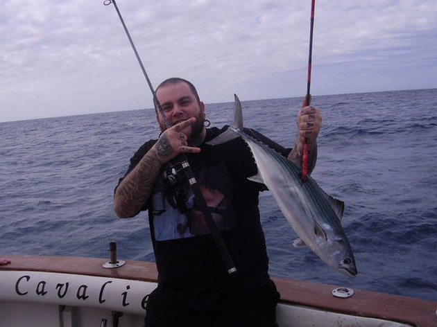 Atlantic Bonito Cavalier & Blue Marlin Sport Fishing Gran Canaria