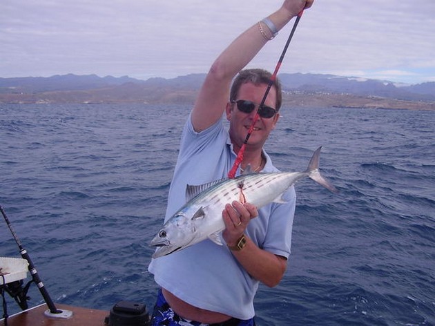 Atlantic Bonito Cavalier & Blue Marlin Sport Fishing Gran Canaria