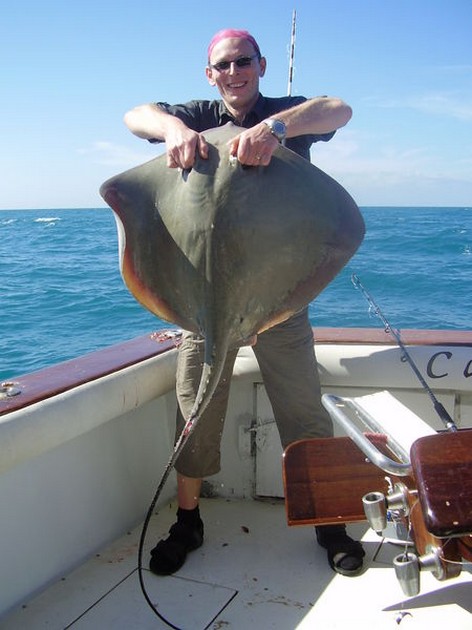 Common Stingray Cavalier & Blue Marlin Sport Fishing Gran Canaria