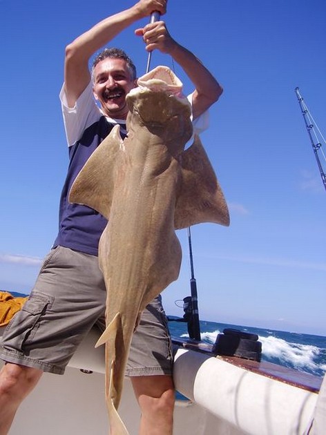 Angel shark Cavalier & Blue Marlin Sport Fishing Gran Canaria
