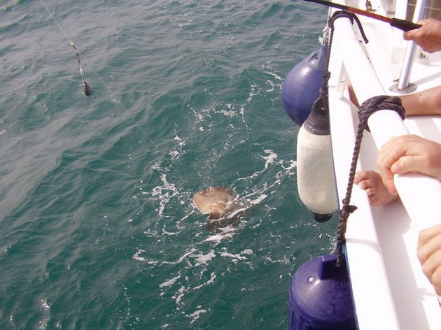  - Cavalier & Blue Marlin Sport Fishing Gran Canaria