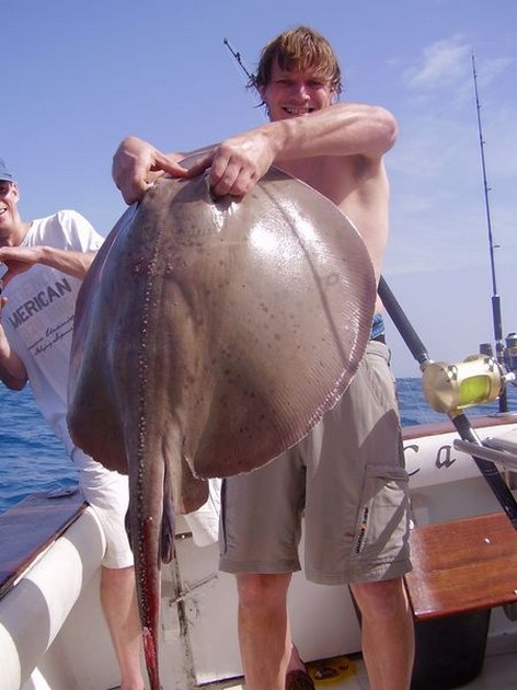 08/02 Roughtail Stingray Cavalier & Blue Marlin Sport Fishing Gran Canaria
