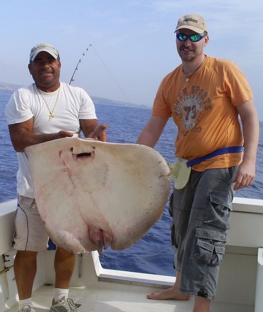 Common Stingray Cavalier & Blue Marlin Sport Fishing Gran Canaria