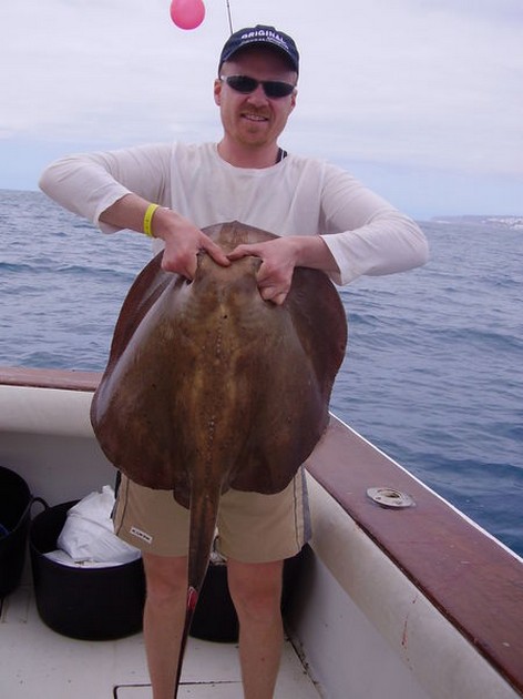 Roughtail Stingray Cavalier & Blue Marlin Sport Fishing Gran Canaria