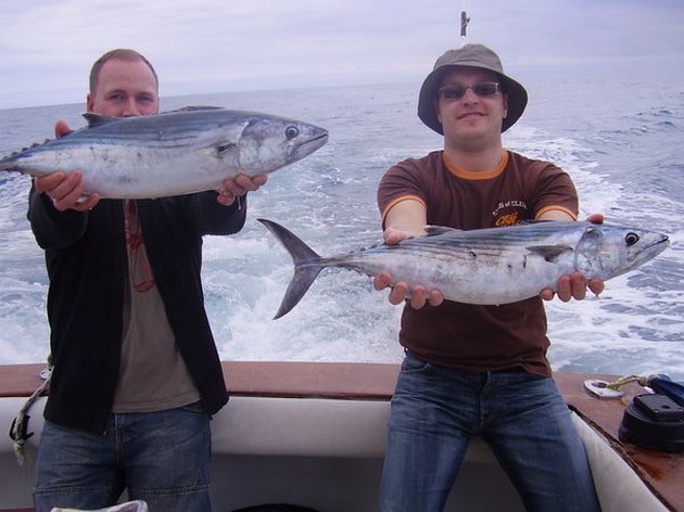 Atlantic Bonito's Cavalier & Blue Marlin Sport Fishing Gran Canaria