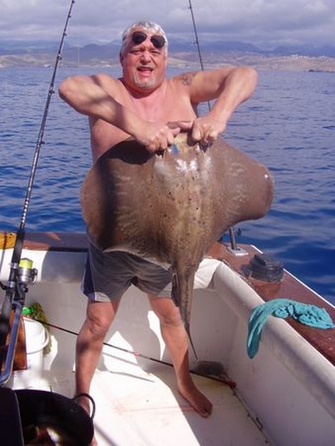 Roughtail Stingray Cavalier & Blue Marlin Sport Fishing Gran Canaria