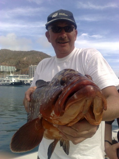 Grouper Cavalier & Blue Marlin Sport Fishing Gran Canaria