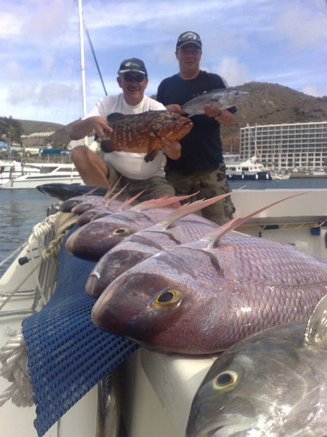 Nice Catch Cavalier & Blue Marlin Sport Fishing Gran Canaria