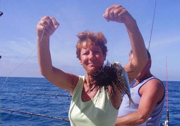 Sea Urchin Cavalier & Blue Marlin Sport Fishing Gran Canaria