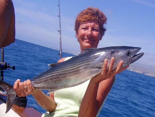 Atlantic Bonito Cavalier & Blue Marlin Sport Fishing Gran Canaria