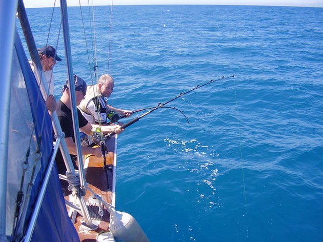 150 KG PIJLSTAARTROG<br><br>Met een 50 ponds hengel en reel - Cavalier & Blue Marlin Sport Fishing Gran Canaria