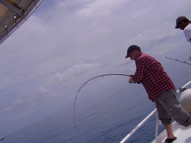 AGAIN A TOP DAY<br><br>After a lot of windy days, both boats - Cavalier & Blue Marlin Sport Fishing Gran Canaria