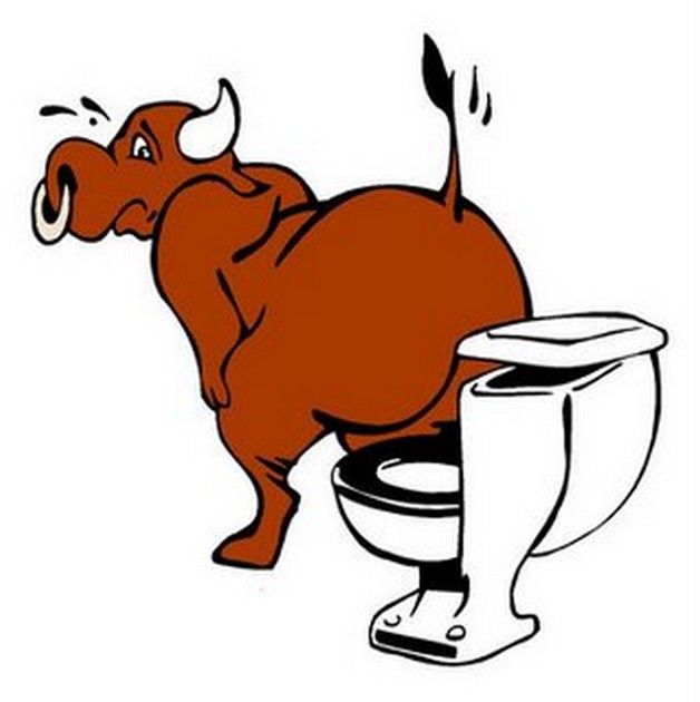 BULL SHIT Det finns bra och dåliga fiskedagar. I går - Cavalier & Blue Marlin Sport Fishing Gran Canaria