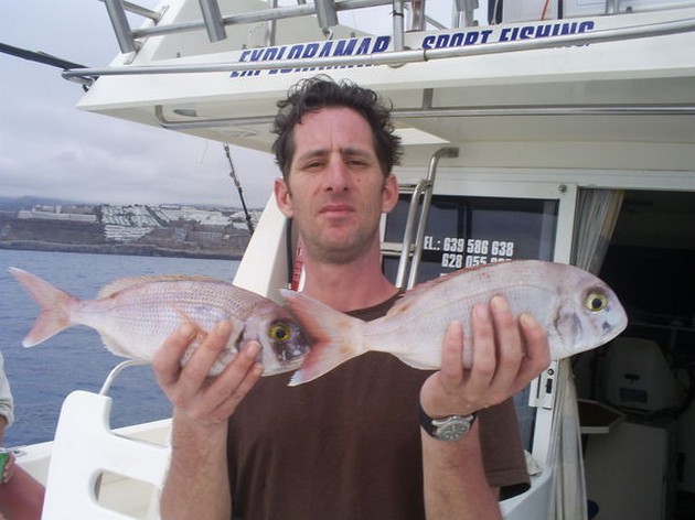 ATLANTIC SIERRA TUNA På båda båtarna fångar man idag - Cavalier & Blue Marlin Sport Fishing Gran Canaria