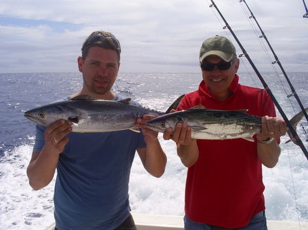 PLENTY OF FISH<br><br>The last days the fishing here in Puerto - Cavalier & Blue Marlin Sport Fishing Gran Canaria