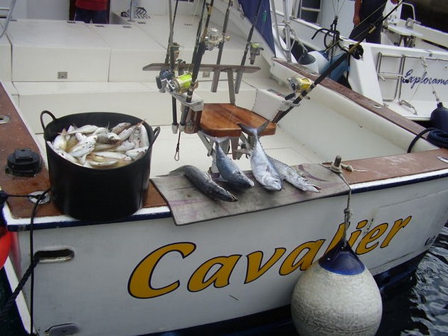 AVERAGE CATCH<br><br>Today we have not really great catches.<br><br>The - Cavalier & Blue Marlin Sport Fishing Gran Canaria