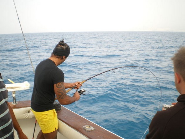light tackle ! Cavalier & Blue Marlin Sport Fishing Gran Canaria