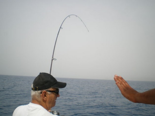 ENGELHAAI<br><br>Gisterenavond was, na 3 dagen, de Siroco - Cavalier & Blue Marlin Sport Fishing Gran Canaria