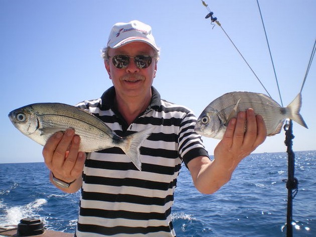 White Seabreams Cavalier & Blue Marlin Sport Fishing Gran Canaria