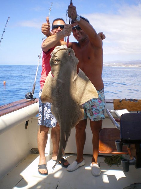 24/03 Angel shark Cavalier & Blue Marlin Sport Fishing Gran Canaria