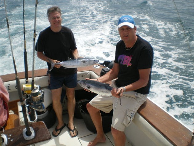 NORTH ATLANTIC BONITO`S The Cavalier fiskade i morse - Cavalier & Blue Marlin Sport Fishing Gran Canaria