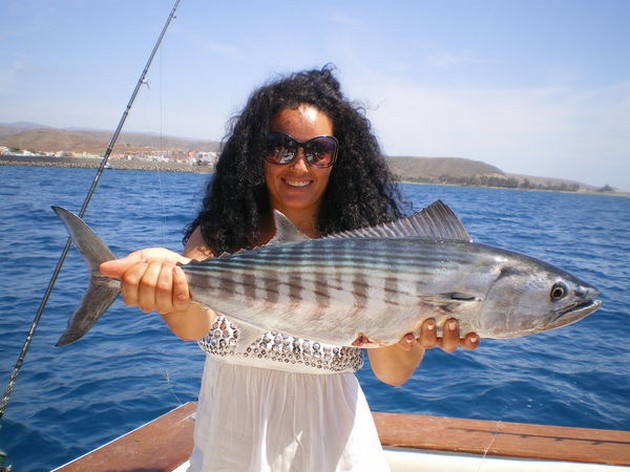 Atlantic Bonito Cavalier & Blue Marlin Sport Fishing Gran Canaria