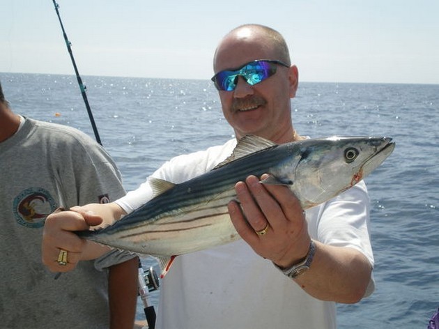 Atlantic Bonito Cavalier & Blue Marlin Sport Fishing Gran Canaria