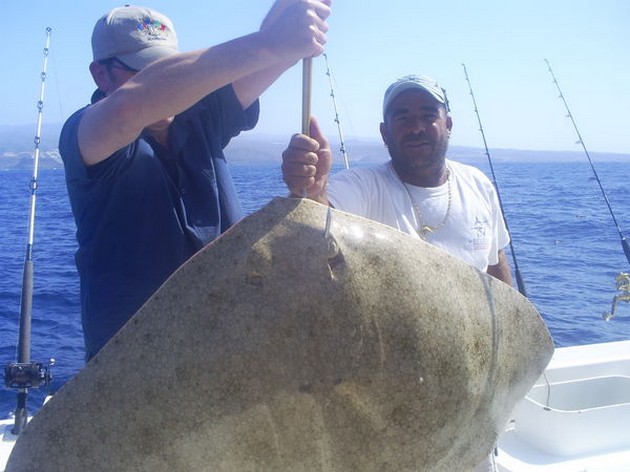 Butterfly Ray Cavalier & Blue Marlin Sport Fishing Gran Canaria