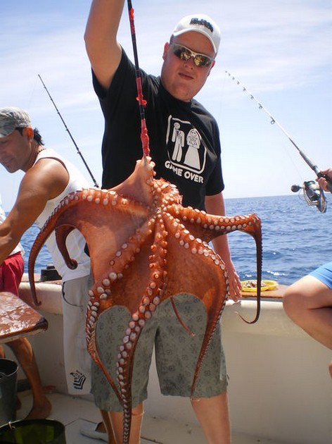 Octopus Cavalier & Blue Marlin Sport Fishing Gran Canaria
