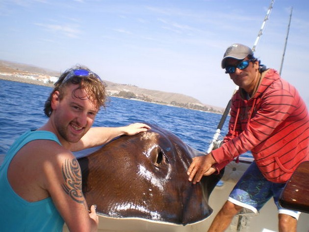 02/04 Roughtail Stingray Cavalier & Blue Marlin Sport Fishing Gran Canaria